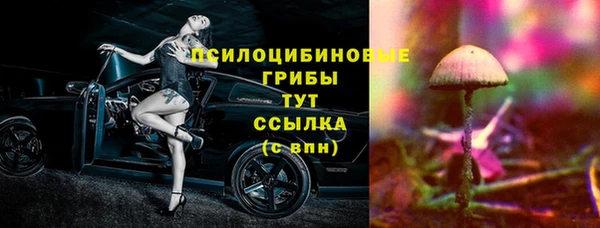 Альфа ПВП Семёнов
