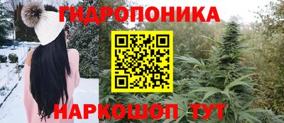 крисы Изобильный