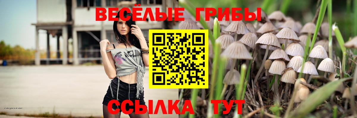 Псилоцибиновые грибы MAGIC MUSHROOMS  Вход с VPN  Советск 